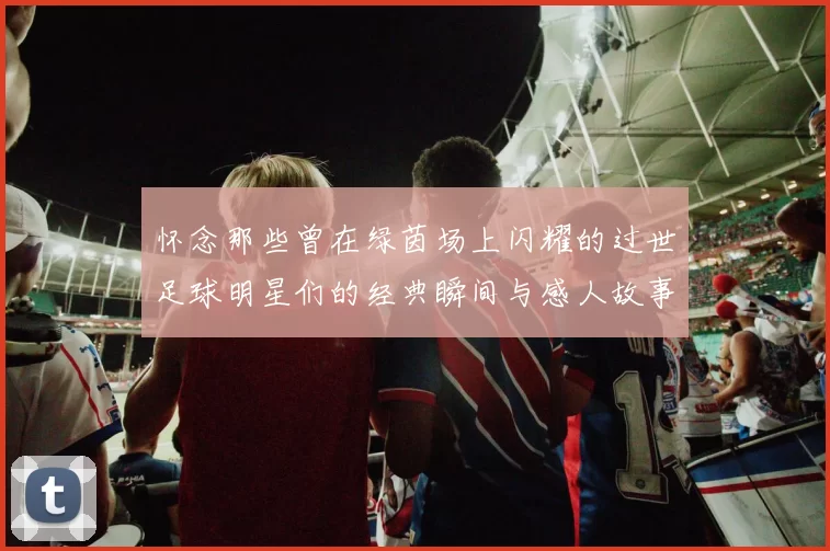 怀念那些曾在绿茵场上闪耀的过世足球明星们的经典瞬间与感人故事